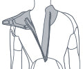 T4